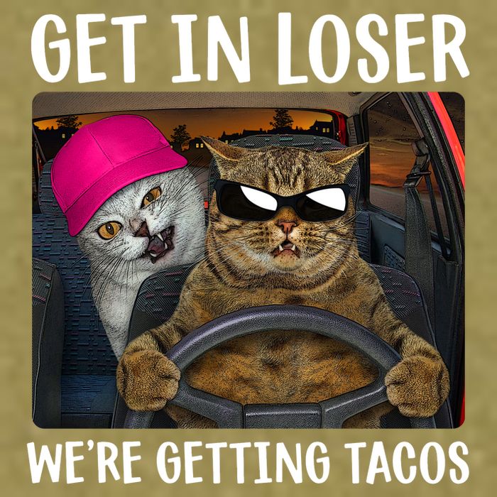 Funny Cats Get In Loser We're Getting Tacos Garment-Dyed Women's Muscle Tee