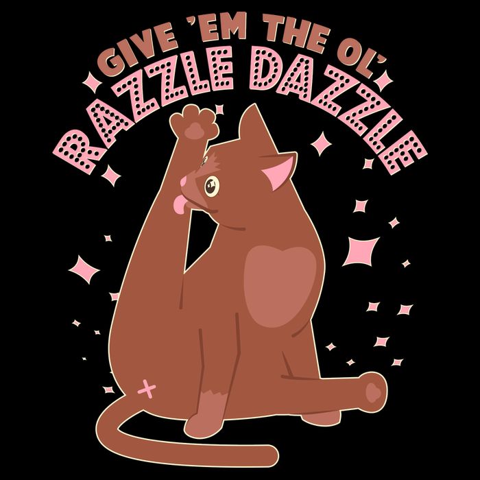 Funny Cat Give Em The Ol Razzle Dazzle Apron