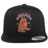 Funny Cat Give Em The Ol Razzle Dazzle Flat Bill Trucker Hat