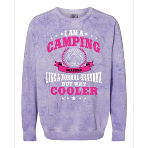 Funny Camping Grandma Saying Summer Camp Gift Colorblast Crewneck Sweatshirt