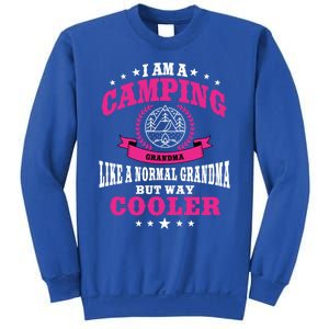 Funny Camping Grandma Saying Summer Camp Gift Sweatshirt