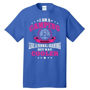 Funny Camping Grandma Saying Summer Camp Gift Tall T-Shirt