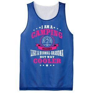 Funny Camping Grandma Saying Summer Camp Gift Mesh Reversible Basketball Jersey Tank