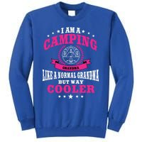 Funny Camping Grandma Saying Summer Camp Gift Tall Sweatshirt