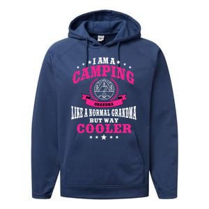 Funny Camping Grandma Saying Summer Camp Gift Performance Fleece Hoodie