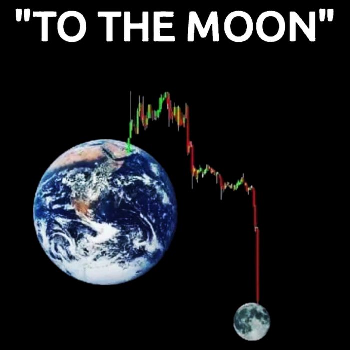 Funny Crypto Going Down To The Moon Backpack