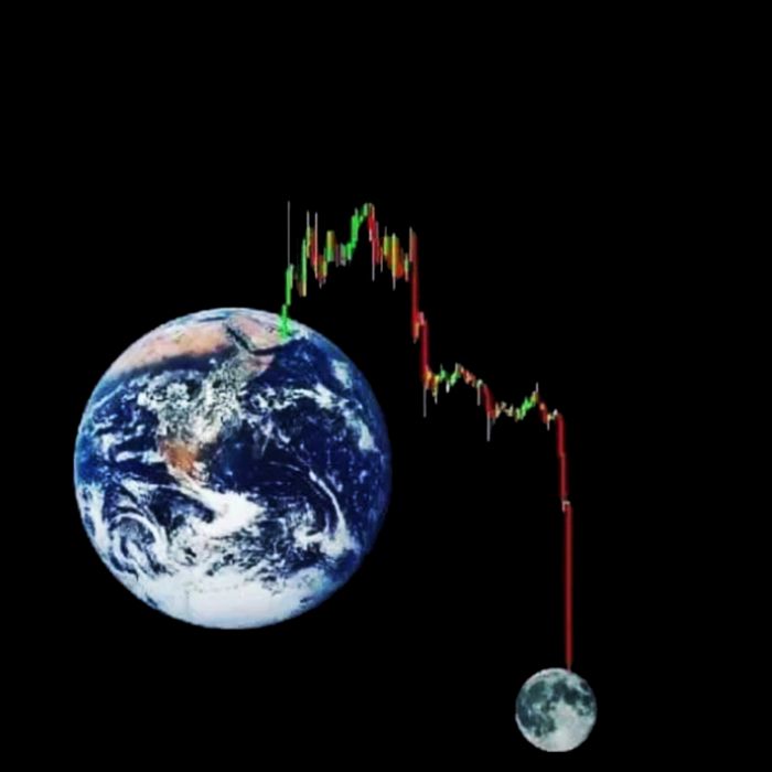 Funny Crypto Going Down To The Moon Mug