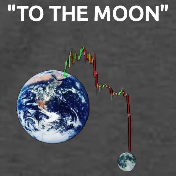 Funny Crypto Going Down To The Moon Vector Backpack