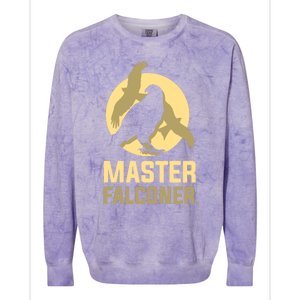 Falconry Cool Gift Master Falconer Gift Colorblast Crewneck Sweatshirt