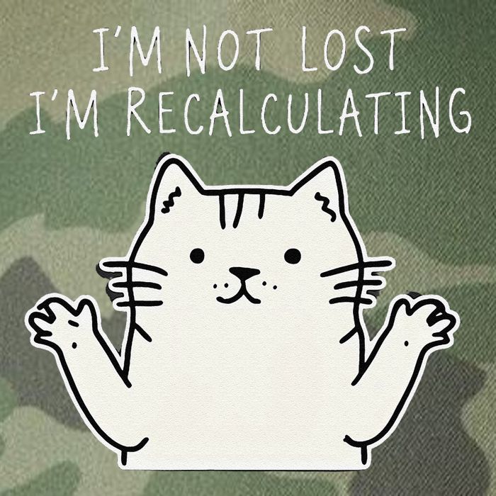 Funny Cat Gpsinspired Joke I’M Not Lost I’M Recalculating Legacy Tie Dye Trucker Hat
