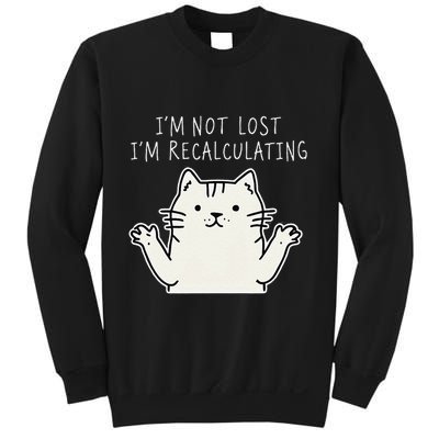 Funny Cat Gpsinspired Joke I’M Not Lost I’M Recalculating Sweatshirt