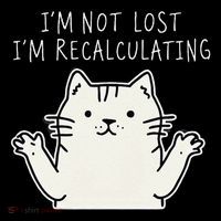Funny Cat Gpsinspired Joke I’M Not Lost I’M Recalculating Tall T-Shirt