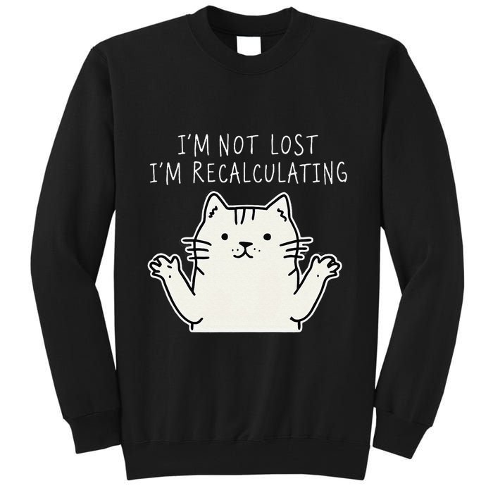Funny Cat Gpsinspired Joke I’M Not Lost I’M Recalculating Tall Sweatshirt