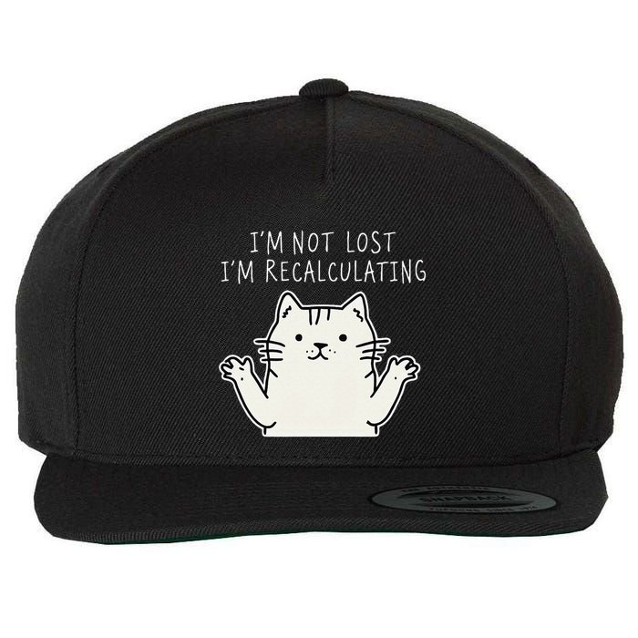 Funny Cat Gpsinspired Joke I’M Not Lost I’M Recalculating Wool Snapback Cap