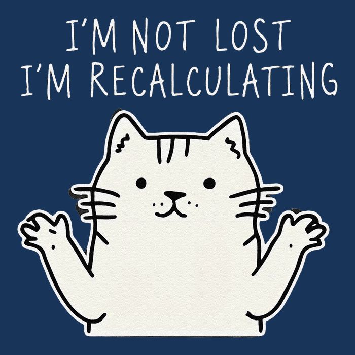 Funny Cat Gpsinspired Joke I’M Not Lost I’M Recalculating Infant Baby Jersey Bodysuit