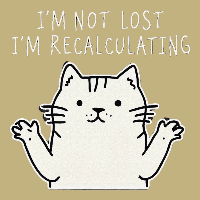 Funny Cat Gpsinspired Joke I’M Not Lost I’M Recalculating Tall Long Sleeve T-Shirt