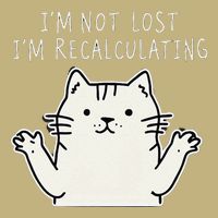 Funny Cat Gpsinspired Joke I’M Not Lost I’M Recalculating Cooling Performance Long Sleeve Crew