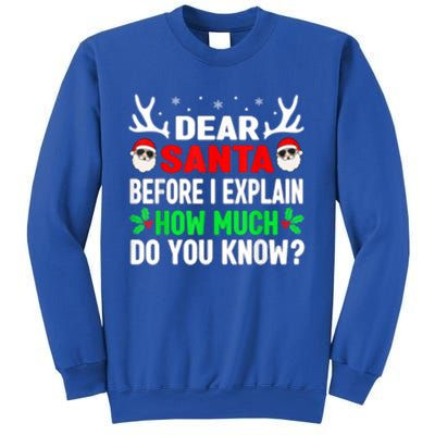 Funny Christmas Gift Adults Dear Santa I Can Explain Meaningful Gift Sweatshirt