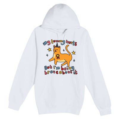 Funny Cat Graphic My Tummy Hurts Brave Cat Premium Pullover Hoodie