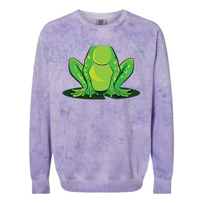 Frog Costume Halloween Green Toad Gift Colorblast Crewneck Sweatshirt