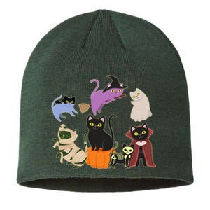 Funny Cute Halloween Costume Cats Kitties Sustainable Beanie