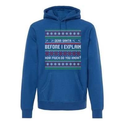 Funny Christmas Holiday Adults Dear Santa I Can Explain Gift Premium Hoodie