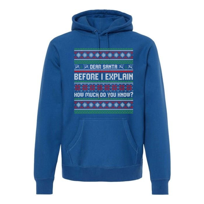 Funny Christmas Holiday Adults Dear Santa I Can Explain Gift Premium Hoodie