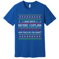 Funny Christmas Holiday Adults Dear Santa I Can Explain Gift Premium T-Shirt