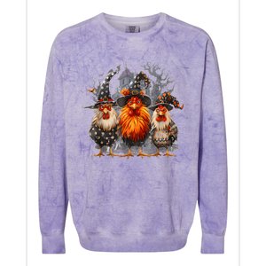 Funny Chicken Halloween Costume Spooky Season Chickens Witch Colorblast Crewneck Sweatshirt