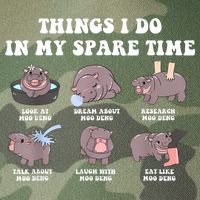Funny Cute Hippo Moo Deng Things I Do In My Spare Time Meme Legacy Tie Dye Trucker Hat
