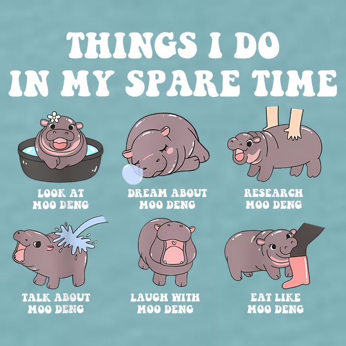 Funny Cute Hippo Moo Deng Things I Do In My Spare Time Meme Sueded Cloud Jersey T-Shirt