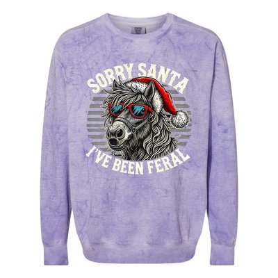 Funny Christmas Horse Saying Sorry Santa IVe Been Feral Cool Gift Colorblast Crewneck Sweatshirt