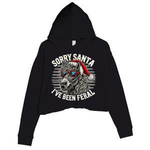 Funny Christmas Horse Saying Sorry Santa IVe Been Feral Cool Gift Crop Fleece Hoodie