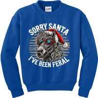 Funny Christmas Horse Saying Sorry Santa IVe Been Feral Cool Gift Kids Sweatshirt