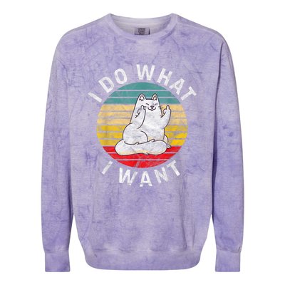 Funny Cat I Do What I Want Middle Finger Kitty Flip The Bird Colorblast Crewneck Sweatshirt