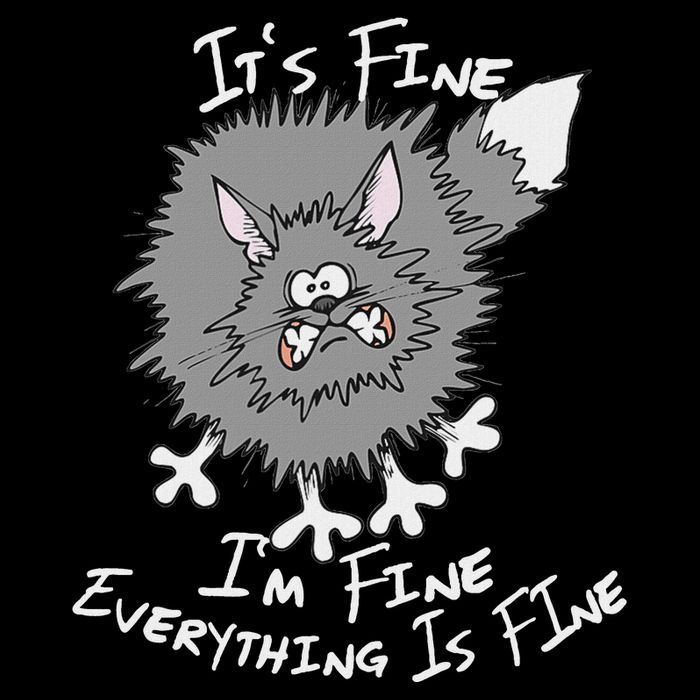 Fluffy Cat ItS Fine IM Fine Everything Is Fine Funny Cat Full-Length Apron With Pockets