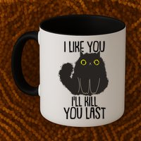 Funny Cat I Like You I'll Kill You Last Mug