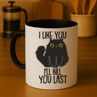 Funny Cat I Like You I'll Kill You Last Mug