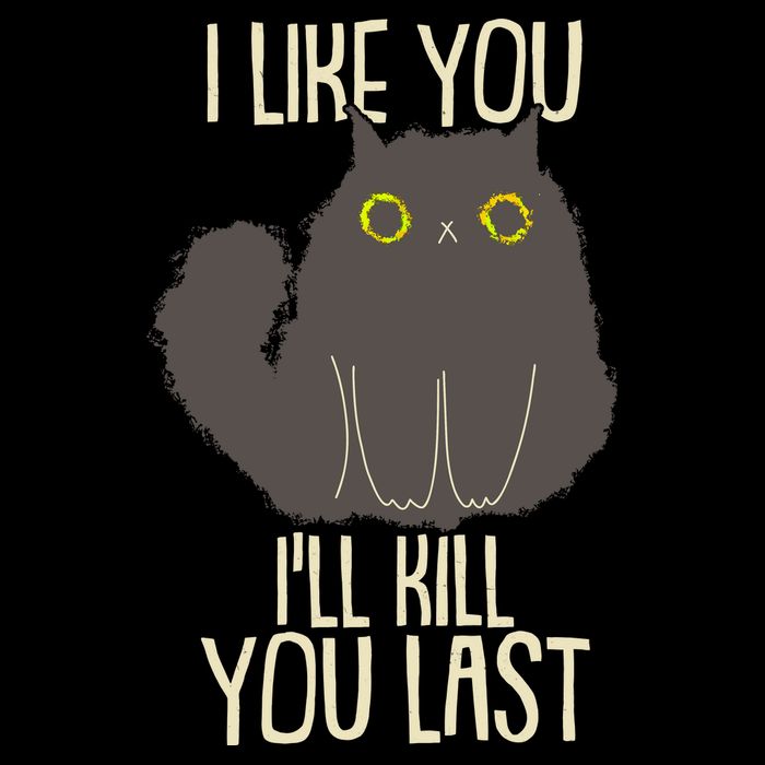 Funny Cat I Like You I'll Kill You Last 16 in Basic Backpack