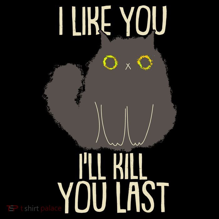 Funny Cat I Like You I'll Kill You Last Pom Pom 12in Knit Beanie
