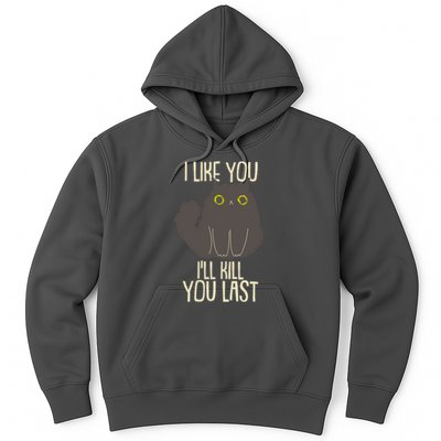 Funny Cat I Like You I'll Kill You Last Hoodie