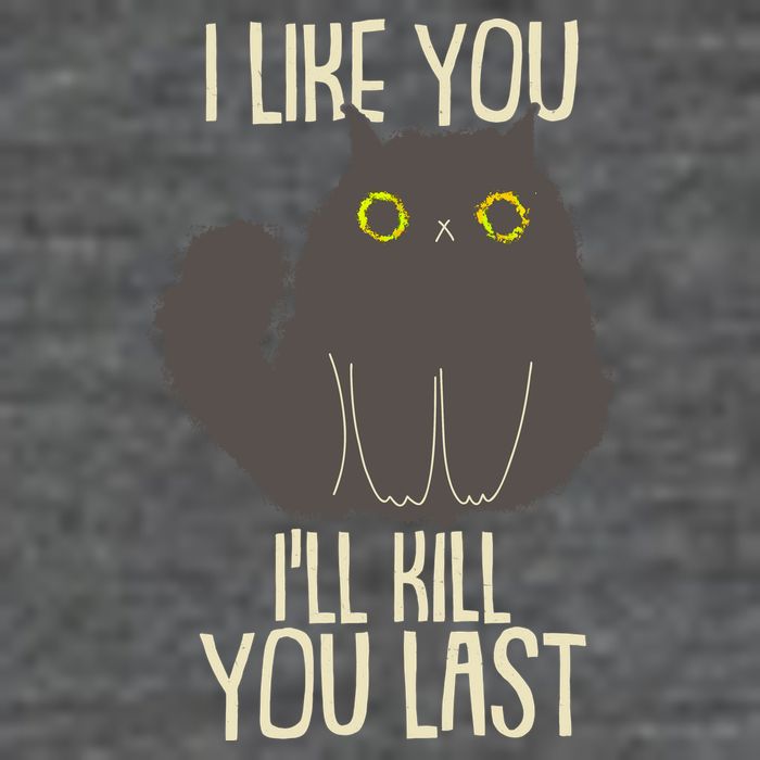 Funny Cat I Like You I'll Kill You Last Backpack