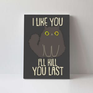 Funny Cat I Like You I'll Kill You Last Canvas