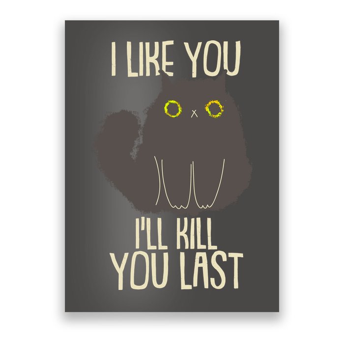 Funny Cat I Like You I'll Kill You Last Poster