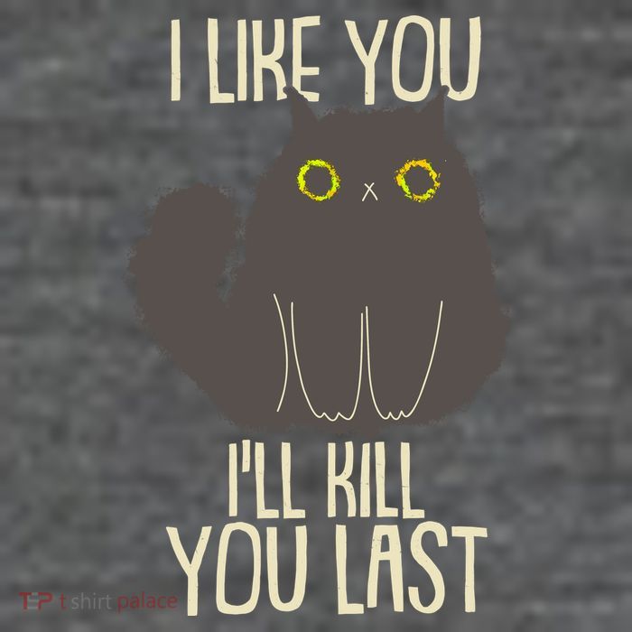 Funny Cat I Like You I'll Kill You Last Toddler T-Shirt