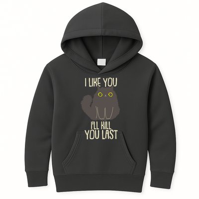 Funny Cat I Like You I'll Kill You Last Kids Hoodie