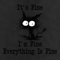 Funny Cat ItS Fine IM Fine Everything Is Fine Great Gift 7 Panel Mesh Trucker Snapback Hat