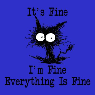Funny Cat ItS Fine IM Fine Everything Is Fine Great Gift T-Shirt