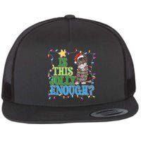 Funny Christmas Is This Jolly Enough Tangled Lights Cat Flat Bill Trucker Hat