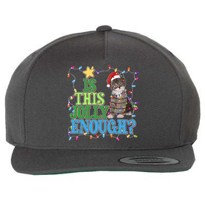 Funny Christmas Is This Jolly Enough Tangled Lights Cat Wool Snapback Cap